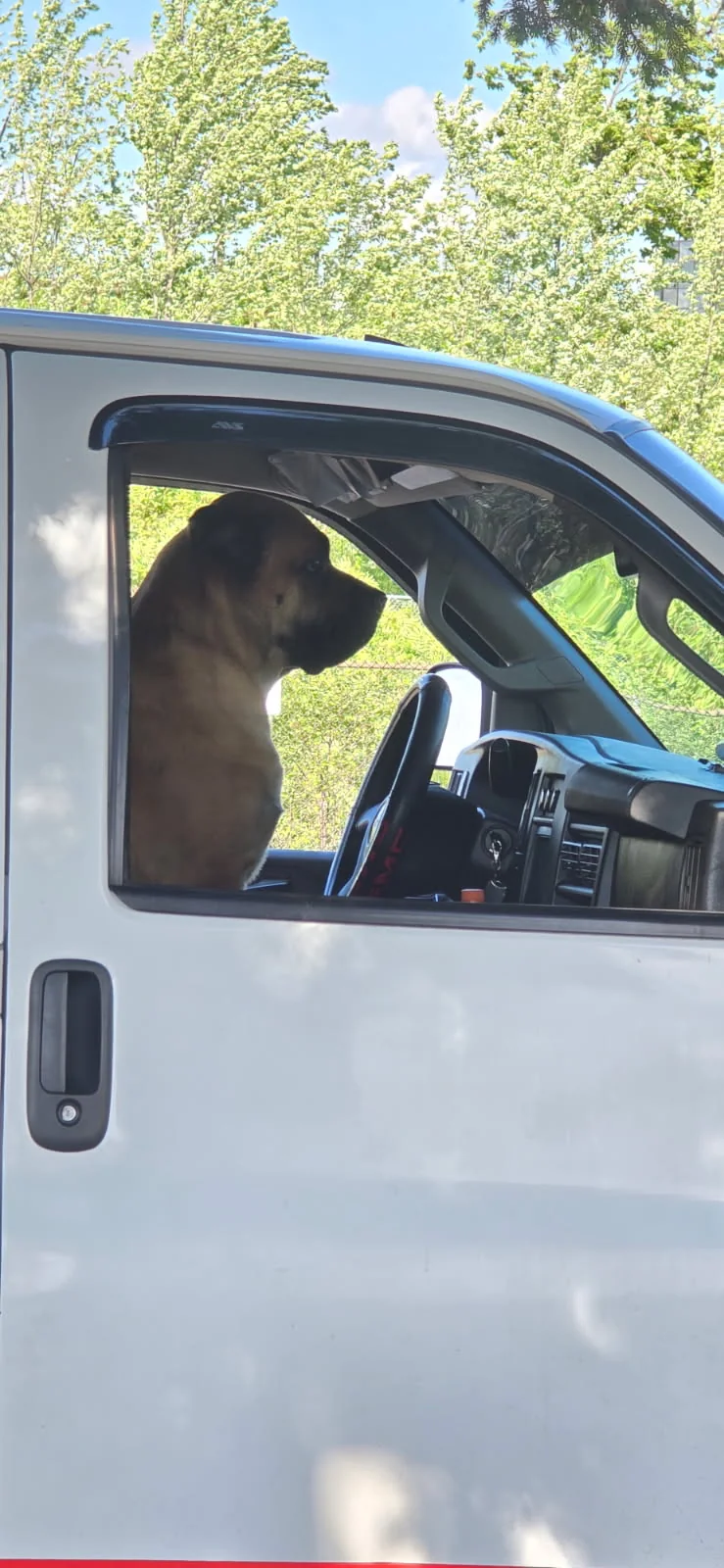 The Boss at the wheel of the JD Flooring work van, ready for the next job